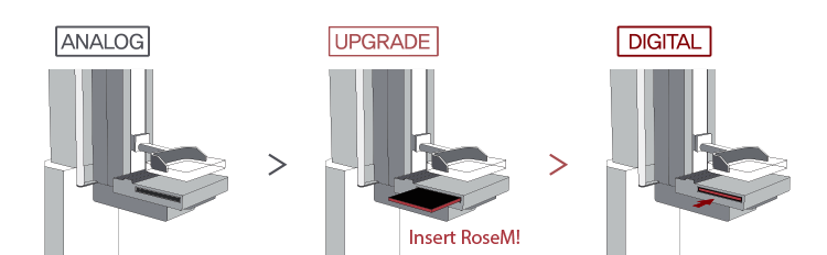   -     .   RSM 2430C  RSM 1824C, (RoseM) - DRTECH