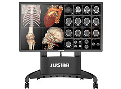 Demonstration medical displays Jusha